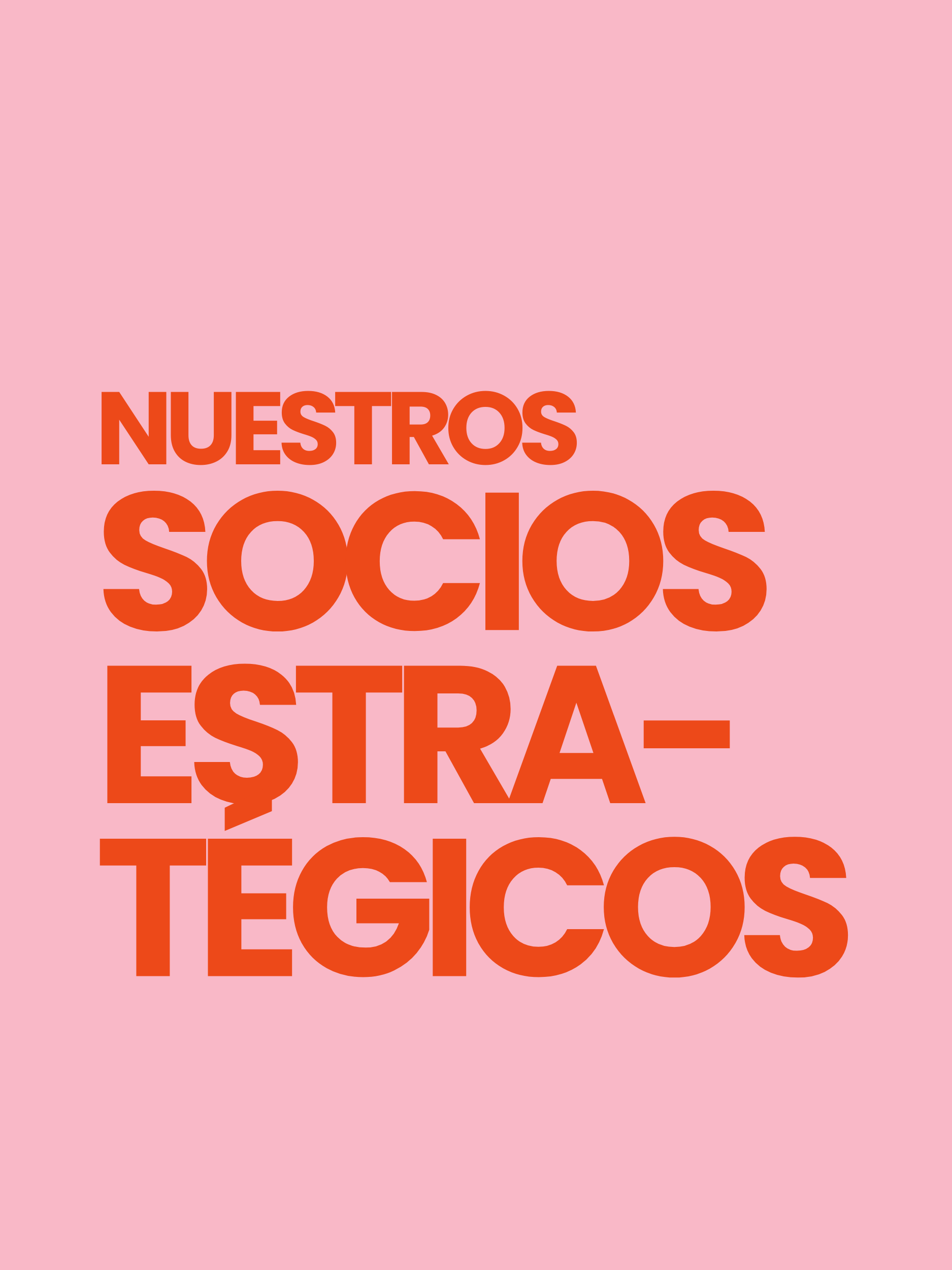 Nuestros socios estratégicos
